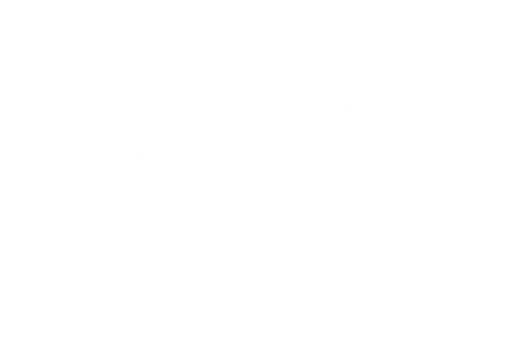 White icon of an arrow pointing upwards.